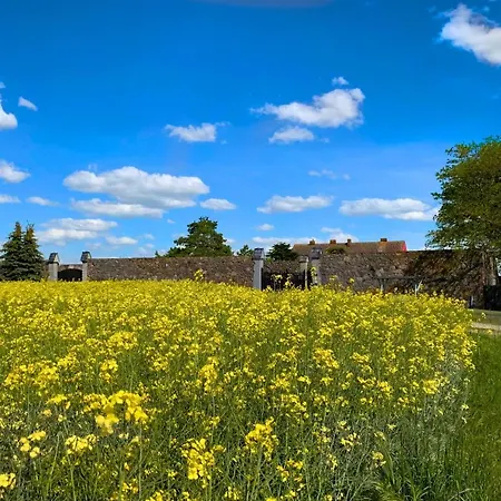 Apartmán Vierseitenhof Hasenfelde - Feldblick Steinhofel