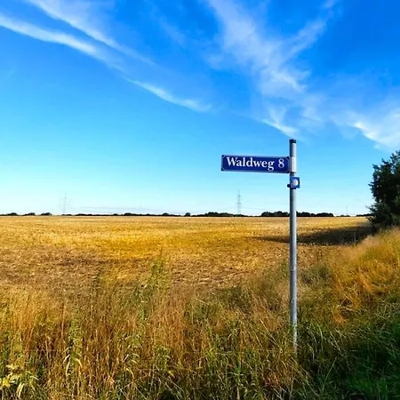 Vierseitenhof Hasenfelde - Feldblick *