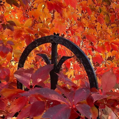 Vierseitenhof Hasenfelde - Feldblick Apartmán