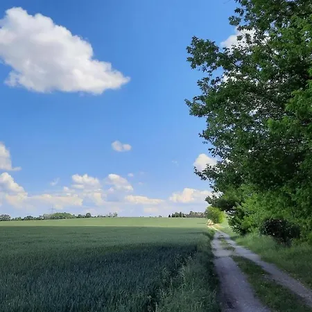 Vierseitenhof Hasenfelde - Feldblick 아파트