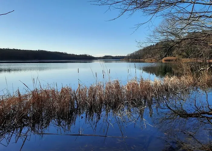 Vierseitenhof Hasenfelde - Feldblick *