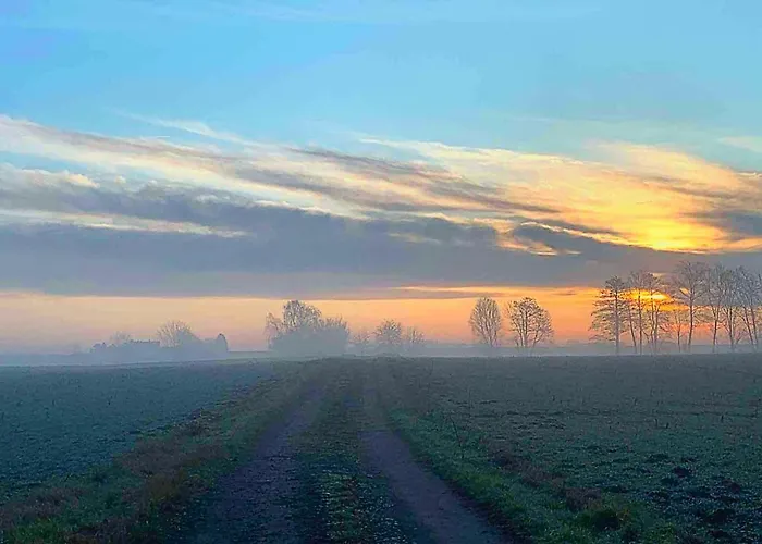 Vierseitenhof Hasenfelde - Feldblick *