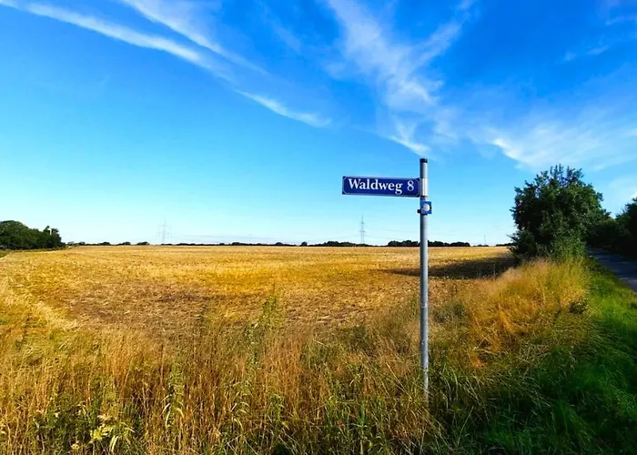 Vierseitenhof Hasenfelde - Feldblick *
