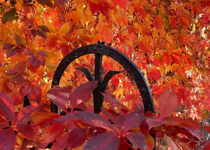 Vierseitenhof Hasenfelde - Feldblick Apartamento