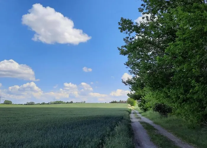 Vierseitenhof Hasenfelde - Feldblick Apartamento